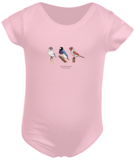 Nome do produto Body Bebê Aves Diversas - Triplo 