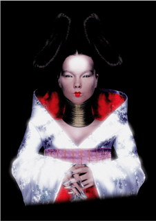 Nome do produtoPoster Bjork Homogenic