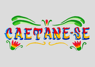 Nome do produto Poster Art | Caetane-se 