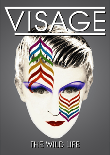 Nome do produto Poster Visage - The Wild Life