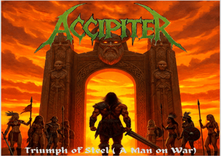 Nome do produto Accipiter - Triumph of Steel (A Man on War)
