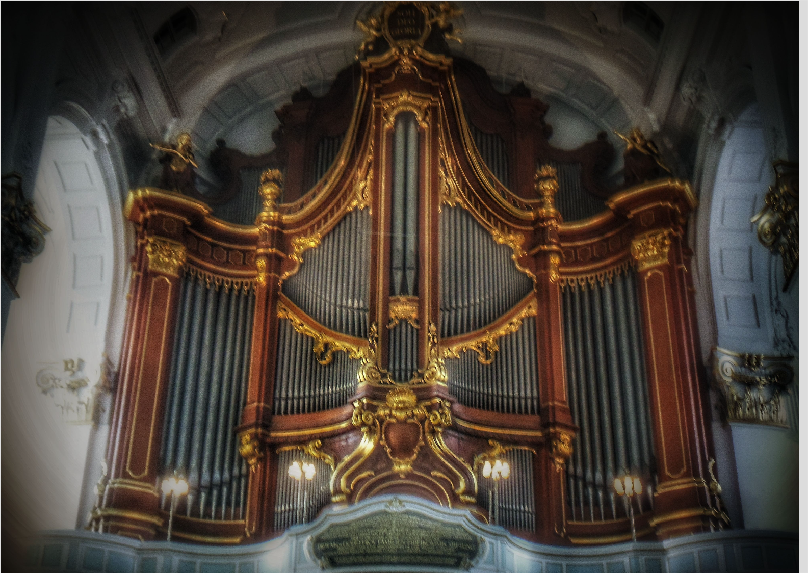 Organ