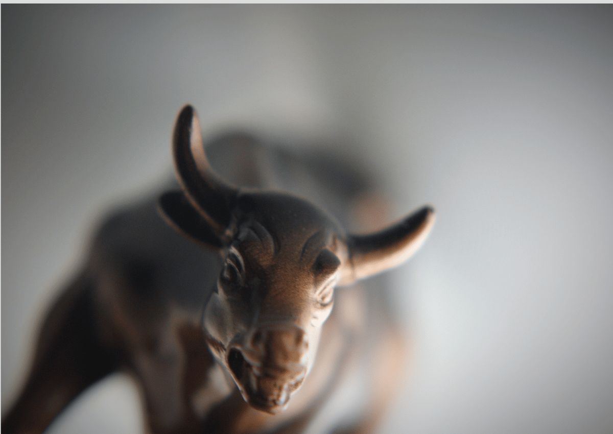 Nome do produto: The Bull 2