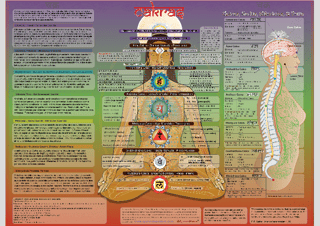 Poster Ayurveda Chakras