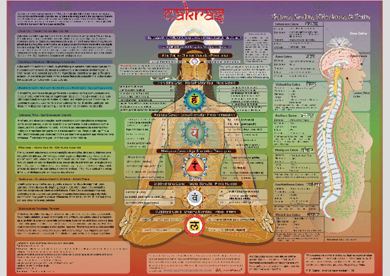 Poster Ayurveda Chakras