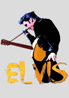 Nome do produtoPoster - Elvis Presley