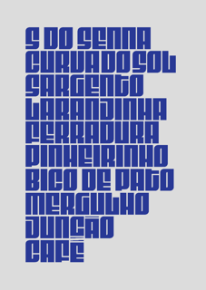 Nome do produto Poster Meu lugar é em Interlagos