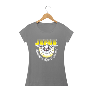 Nome do produto Camiseta Jesus, Manda o seu Espírito! - Feminina