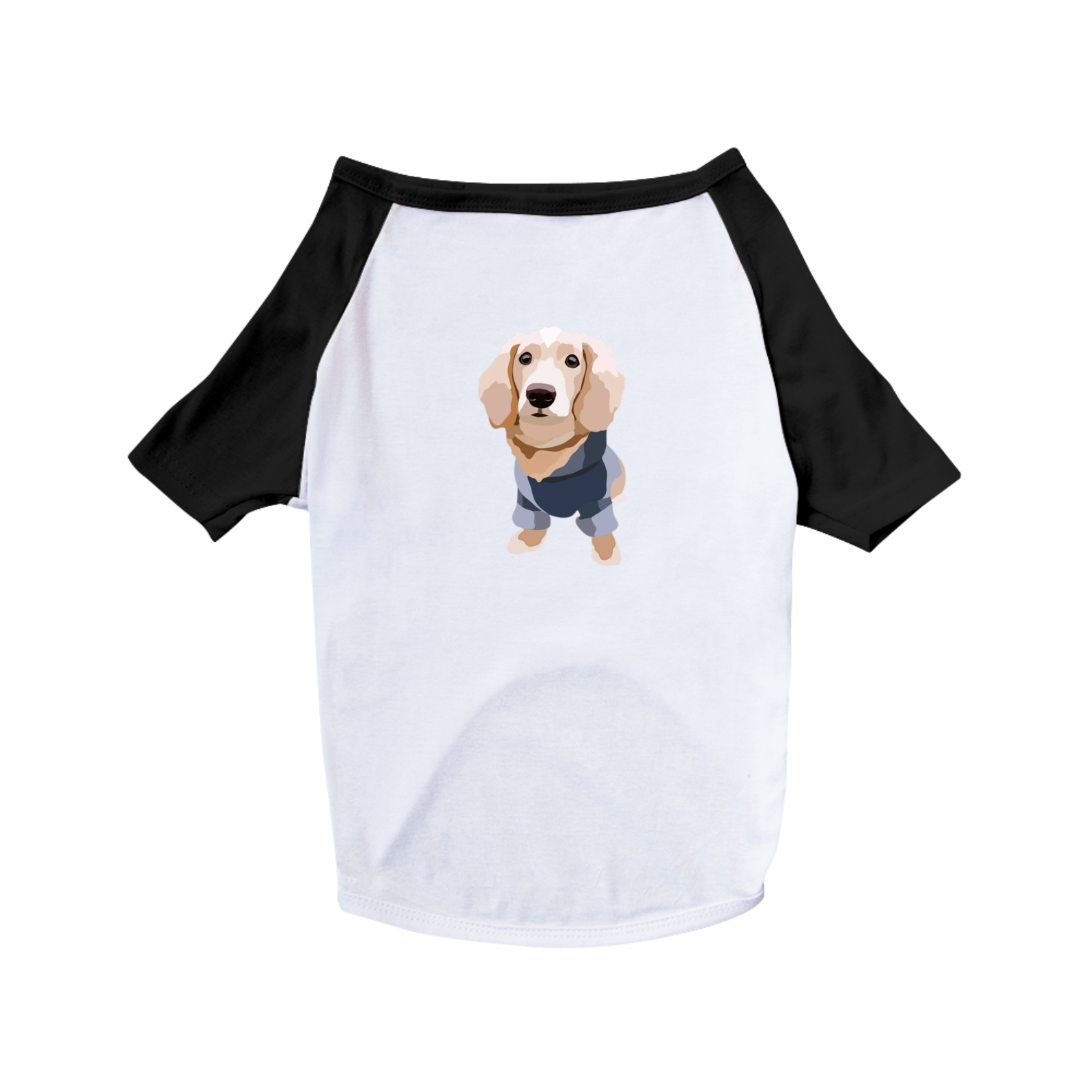 Pet shirt