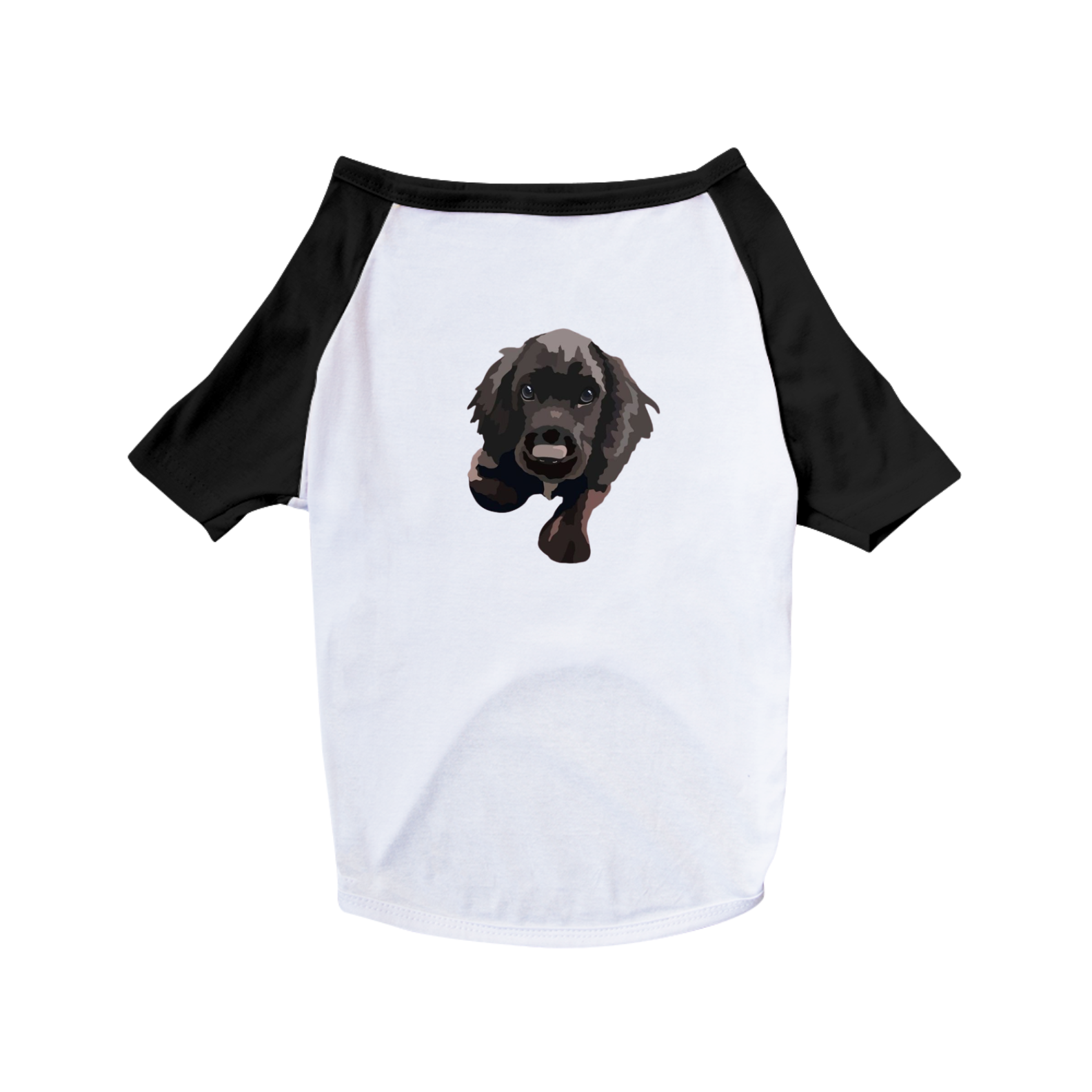 Pet shirt