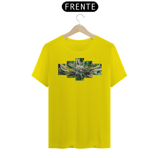 Nome do produto Cannabis