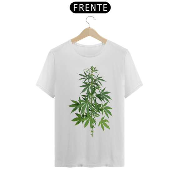 Cannabis
