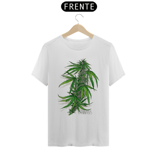 Nome do produto Cannabis