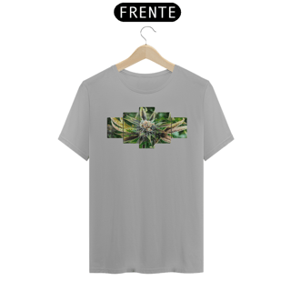 Nome do produto Cannabis