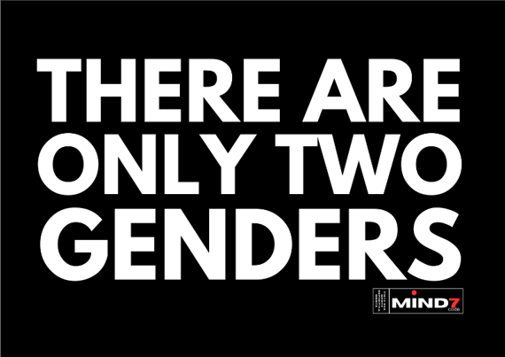 Poster Paisagem There Are Only Two Genders