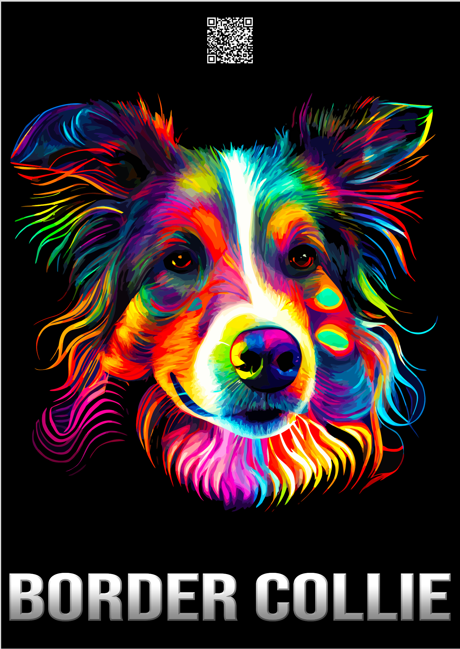 Poster BORDER COLLIE