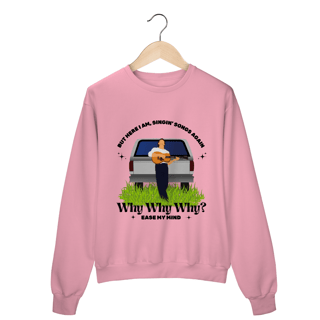 Nome do produto Moletom Shawn Mendes - Why Why Why