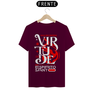 Nome do produto Camisa Virtude do Espirito Santo 