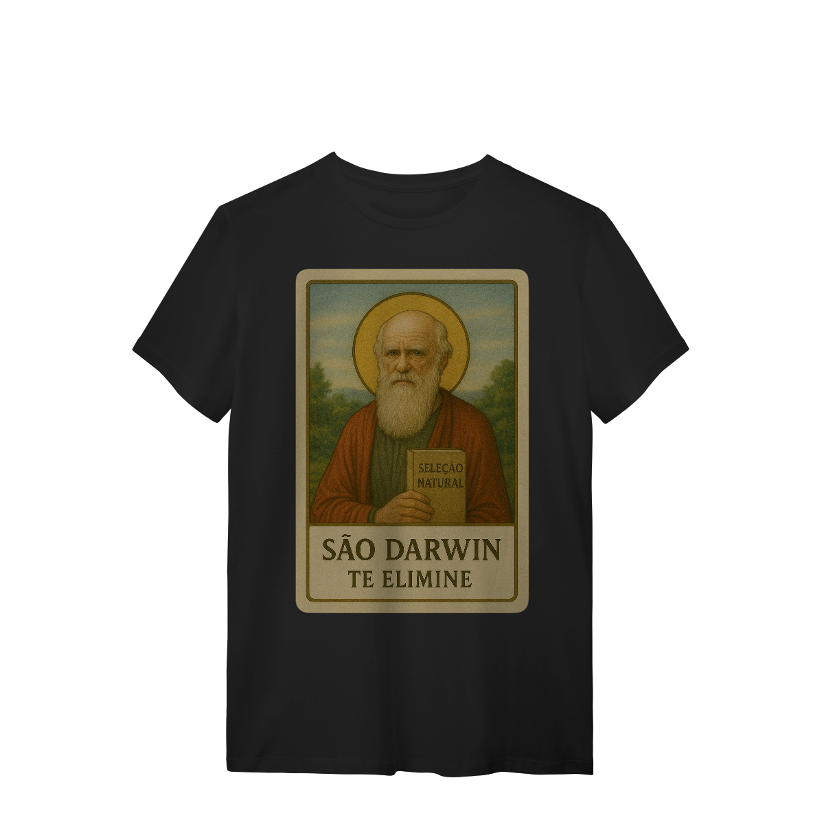 São Darwin - Quality