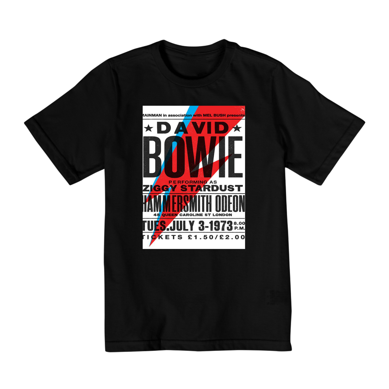 Camiseta Infantil 10 a 14 anos - Bandas - David Bowie