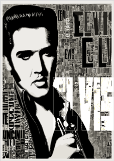 ELVIS