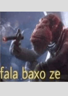 Nome do produtoMacaco Fala baixo Zé