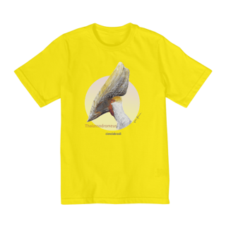 Nome do produto T-Shirt Quality Infantil (10 a 14) Thalassodromeus