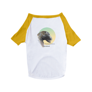 Nome do produto Camisa Pet Dog Pampaphoneus