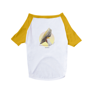Nome do produto Camisa Pet Dog Thalassodromeus