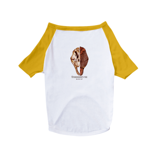 Nome do produto camisa pet dog caras Tiranossauro