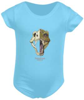 Nome do produto Body Infantil Pampafoneu