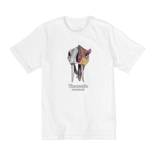 Nome do produto t-shirt infantil quality (2 a 8) Tilacosmilo