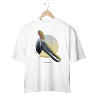 Nome do produto T Shirt oversized Ludodactylus