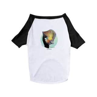 Nome do produto Camisa Pet Dog Tapejara