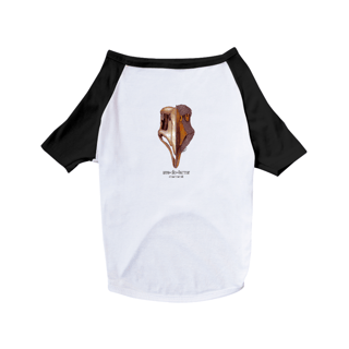 Nome do produto camisa pet dog ave-do-terror