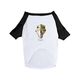 Nome do produto Camisa Pet Dog Pampafoneu