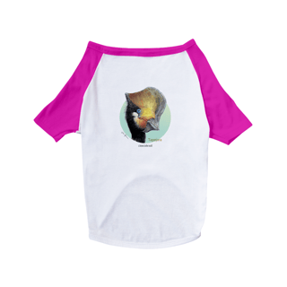 Nome do produto Camisa Pet Dog Tapejara