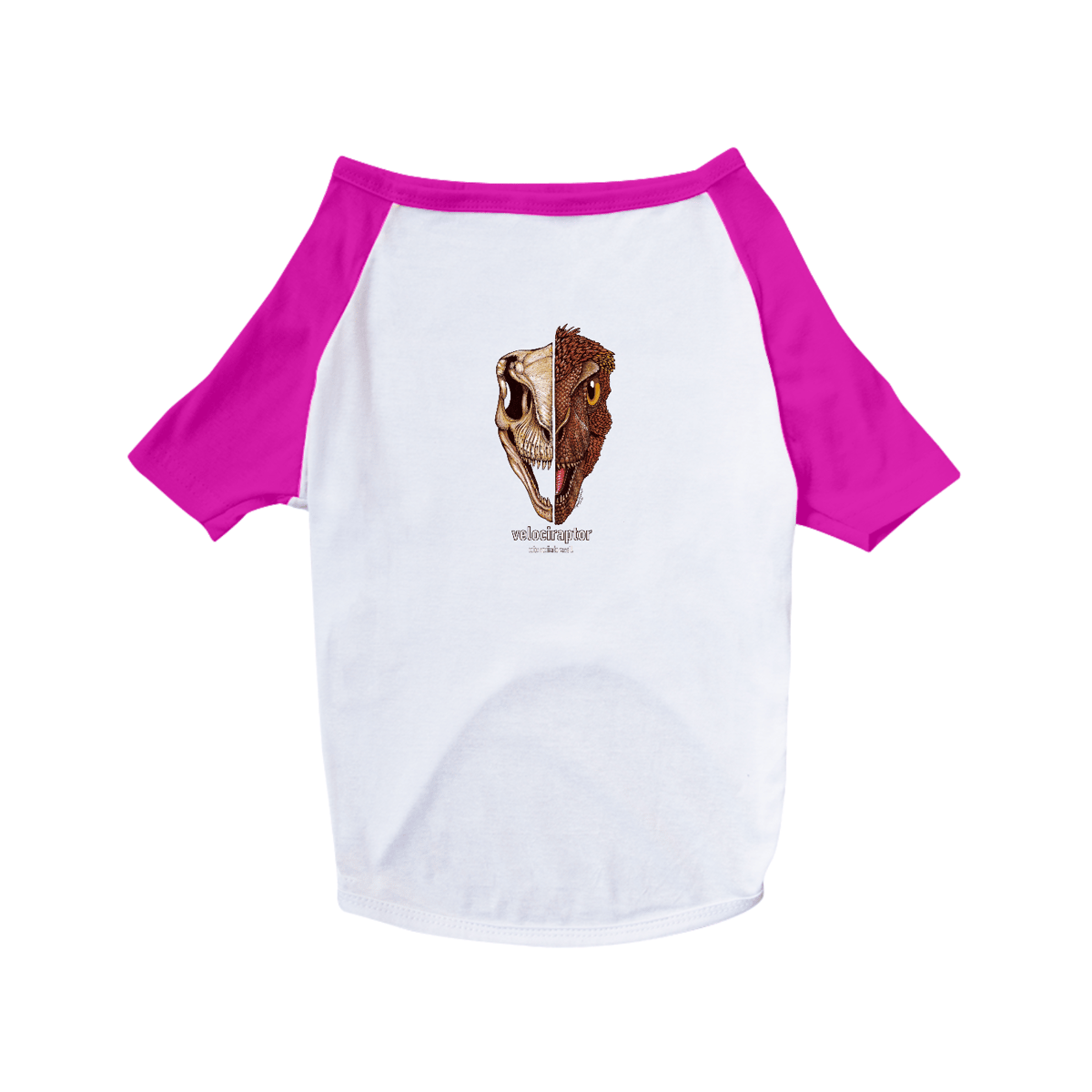 Nome do produto: camisa pet dog caras Velociraptor