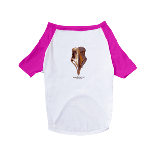 Nome do produto camisa pet dog ave-do-terror