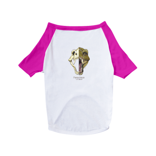 Nome do produto Camisa Pet Dog Pampafoneu