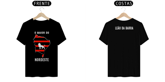 VITÓRIA - O MAIOR DO NORDESTE