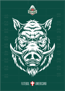 Nome do produto Poster Boar