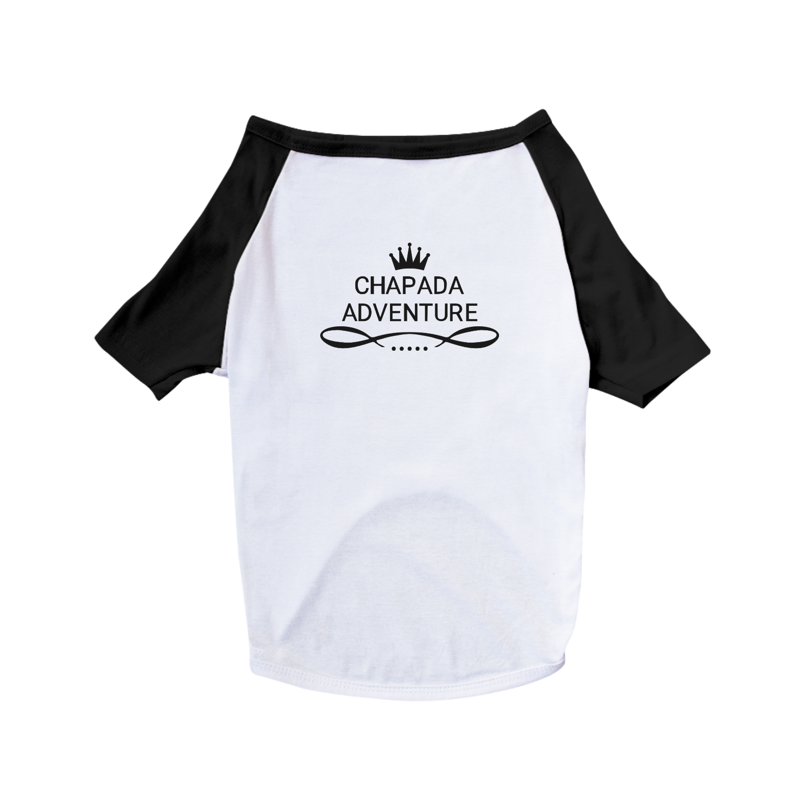 Camiseta Adventure Pet Dog