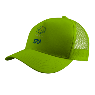 Nome do produto Bone Quality - Codex