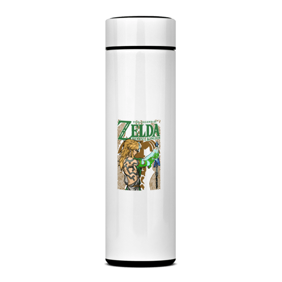 Link, Era do Caos