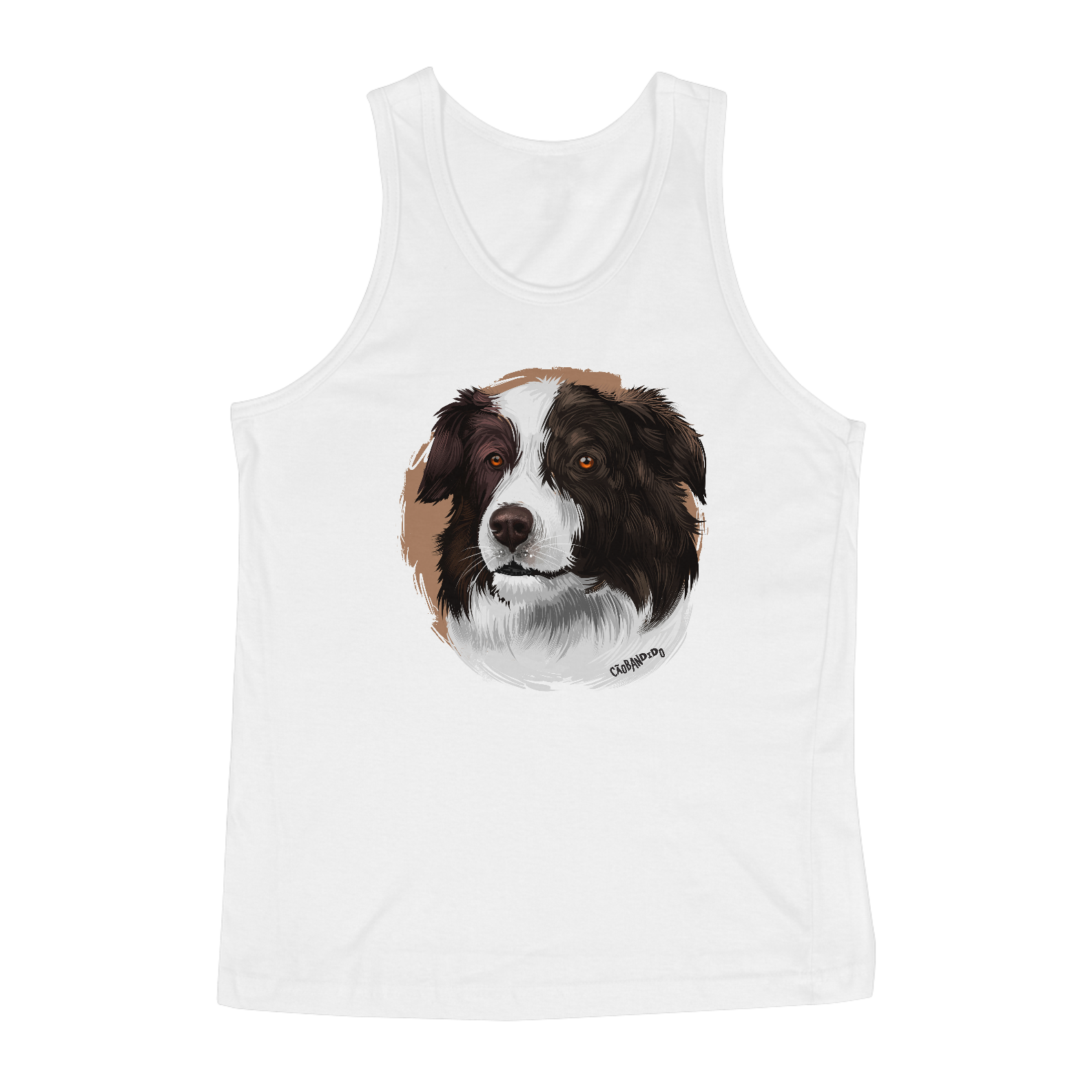 Regata Border Collie