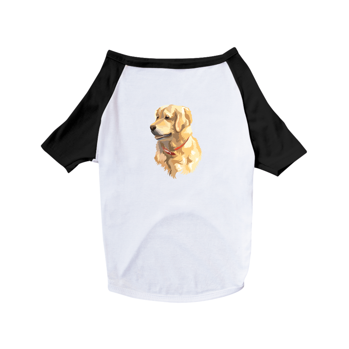 Nome do produto: Camiseta para Cachorro - Golden Retriever