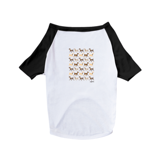 Nome do produto Camiseta para Cachorro - Galgo Italiano Caminhando