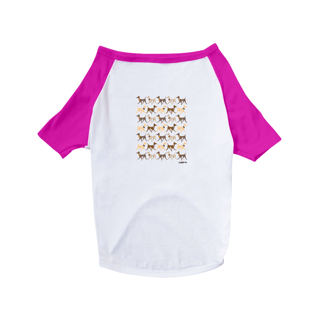 Nome do produto Camiseta para Cachorro - Galgo Italiano Caminhando