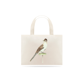 Nome do produtoMatitaperê, Ecobag Grande
